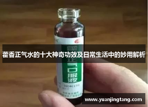 藿香正气水的十大神奇功效及日常生活中的妙用解析